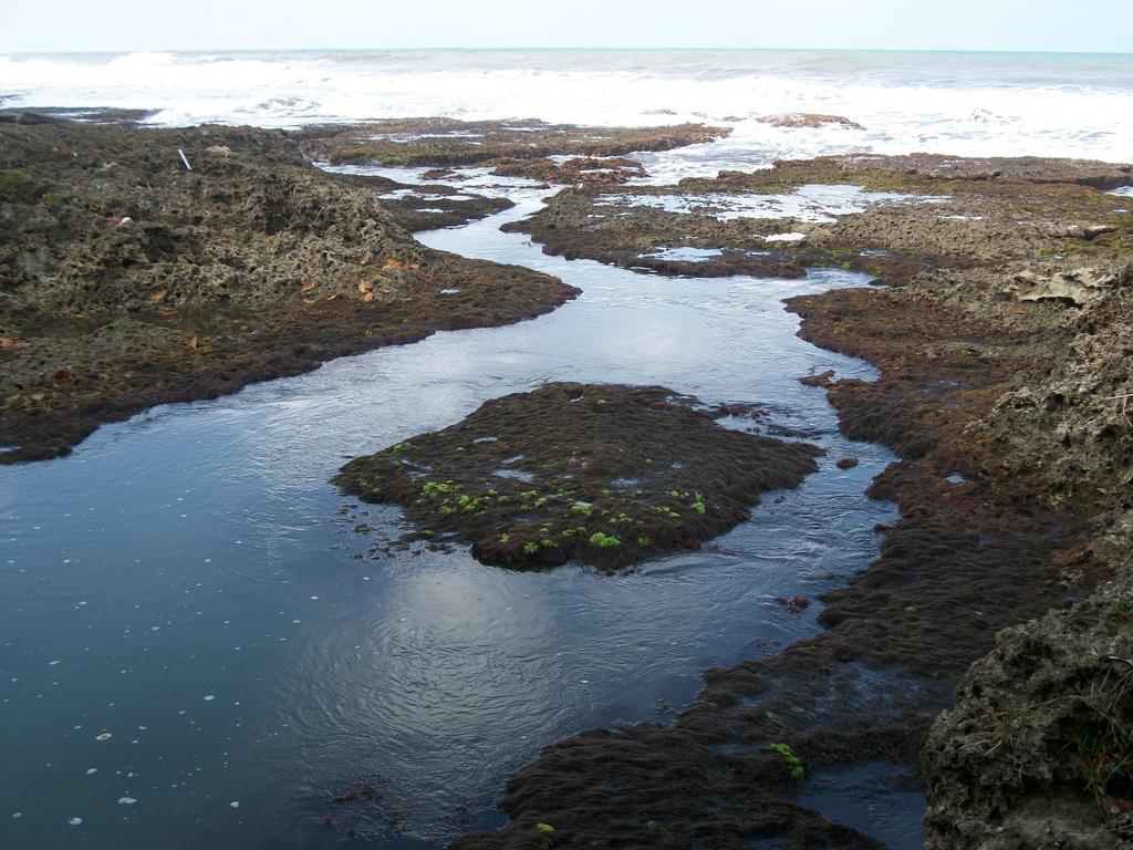 Piscina Natural On The Sea กาอุยตา ภายนอก รูปภาพ