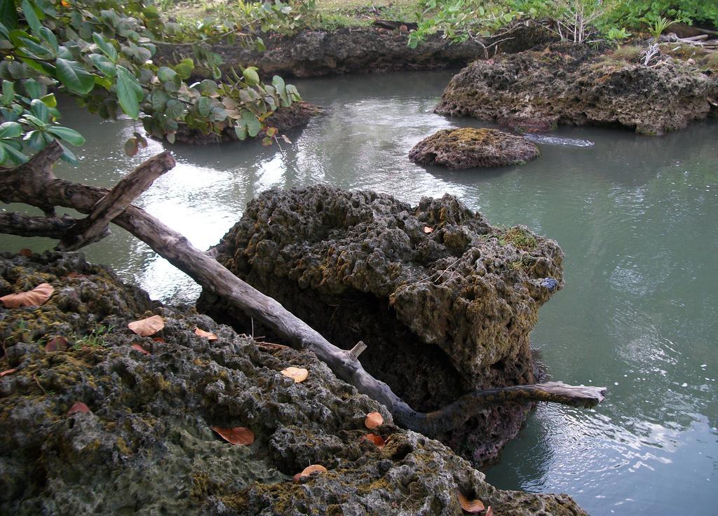 Piscina Natural On The Sea กาอุยตา ภายนอก รูปภาพ