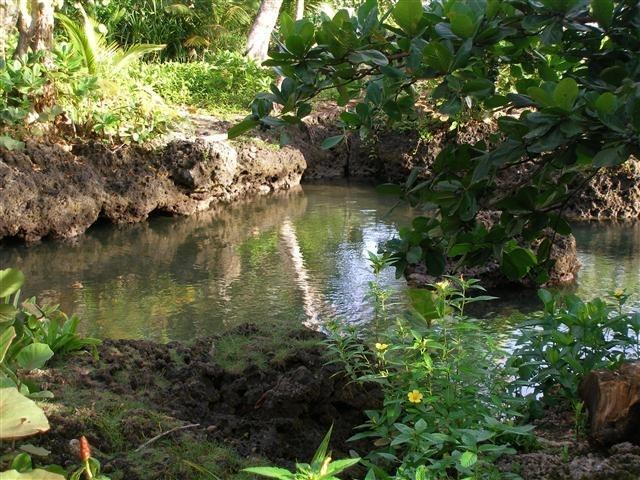Piscina Natural On The Sea กาอุยตา ภายนอก รูปภาพ